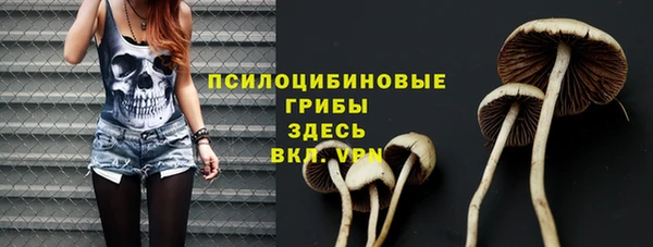 гашик Баксан