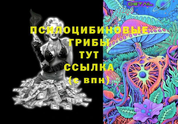 гашик Баксан