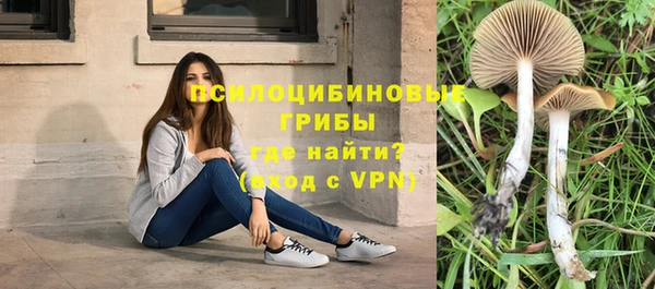 дмт Балахна