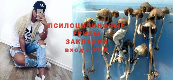 гашик Баксан