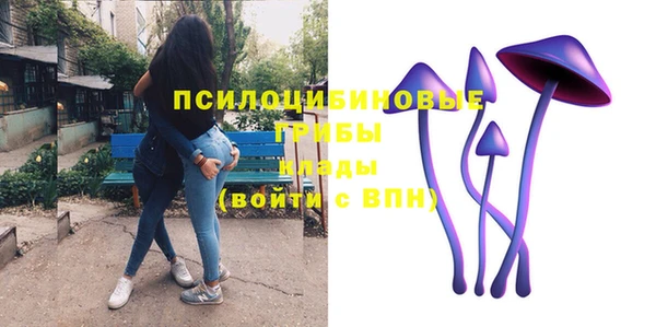 гашик Баксан